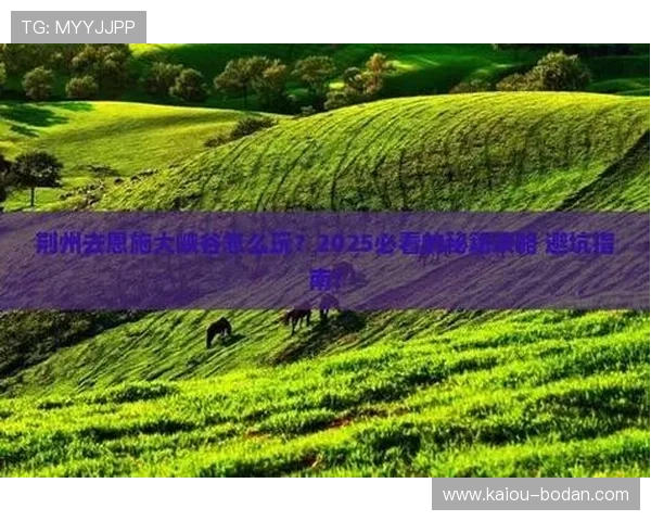 玩球tv官网入口下载评测防骗避坑指南